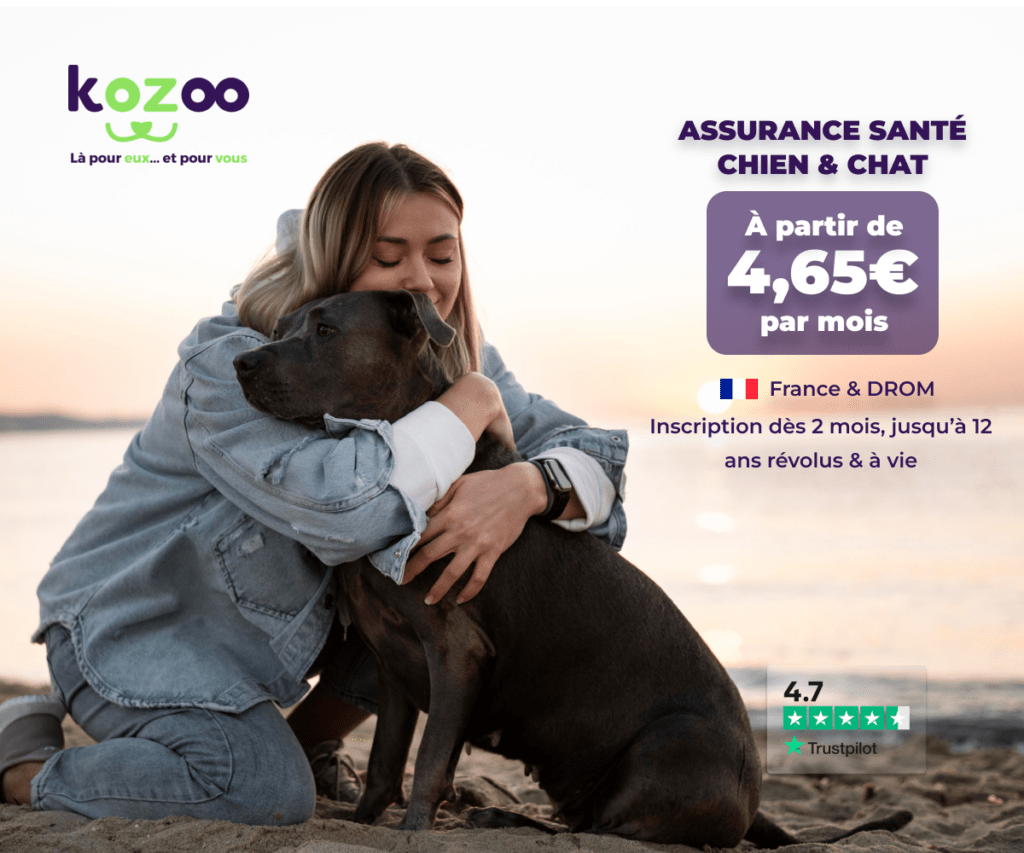 Assurance pour animaux Kozoo